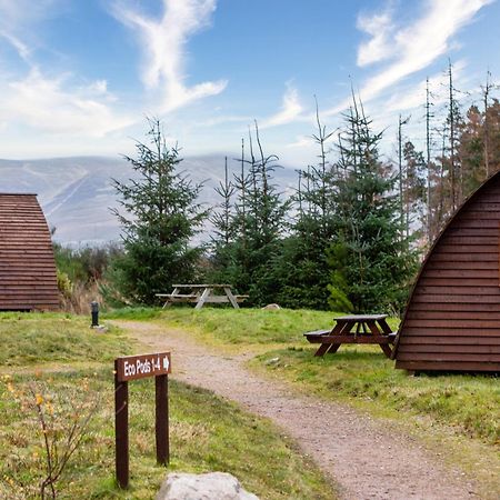 Badaguish Forest Lodges And Camping Pods Aviemore Esterno foto