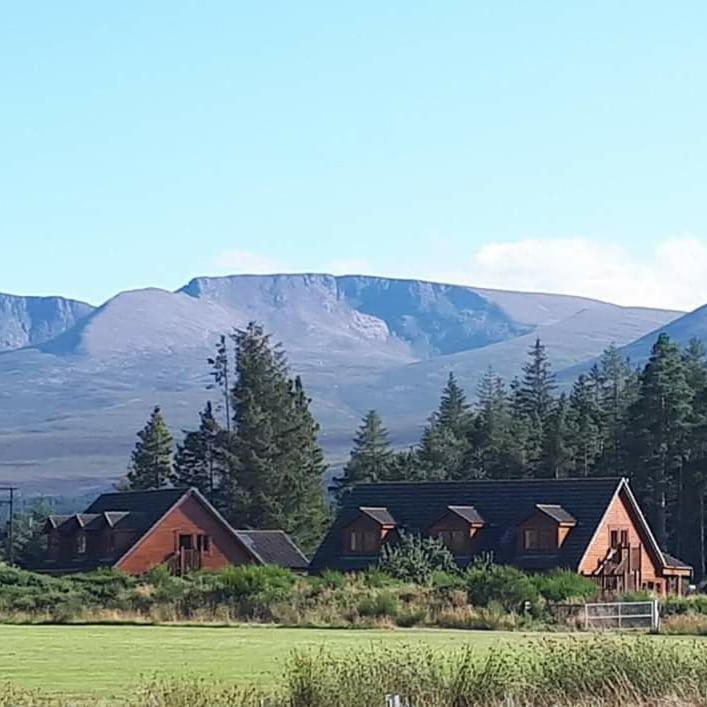 Badaguish Forest Lodges And Camping Pods Aviemore Esterno foto