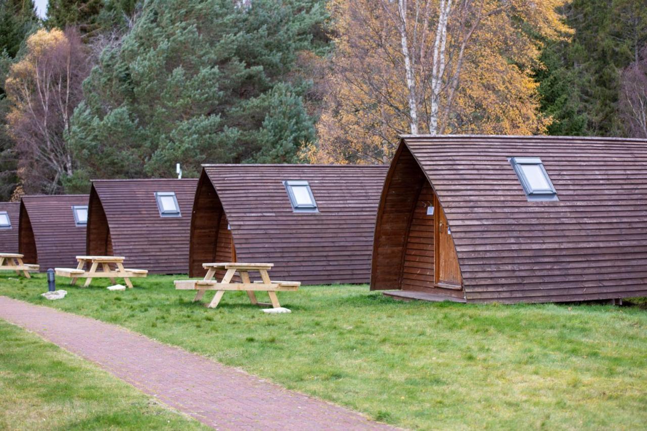 Badaguish Forest Lodges And Camping Pods Aviemore Esterno foto