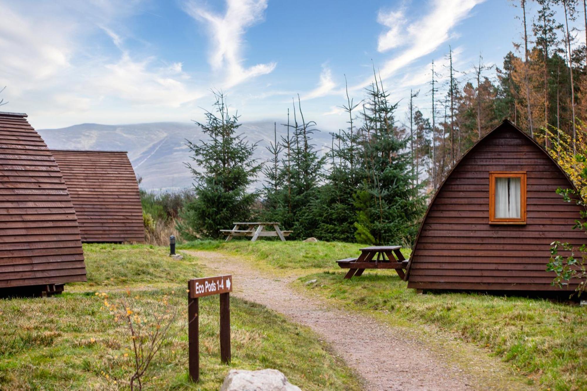 Badaguish Forest Lodges And Camping Pods Aviemore Esterno foto