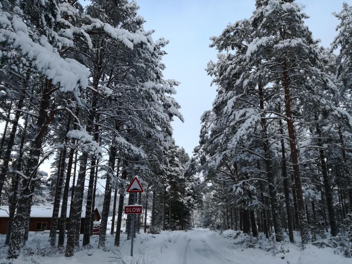 Badaguish Forest Lodges And Camping Pods Aviemore Esterno foto