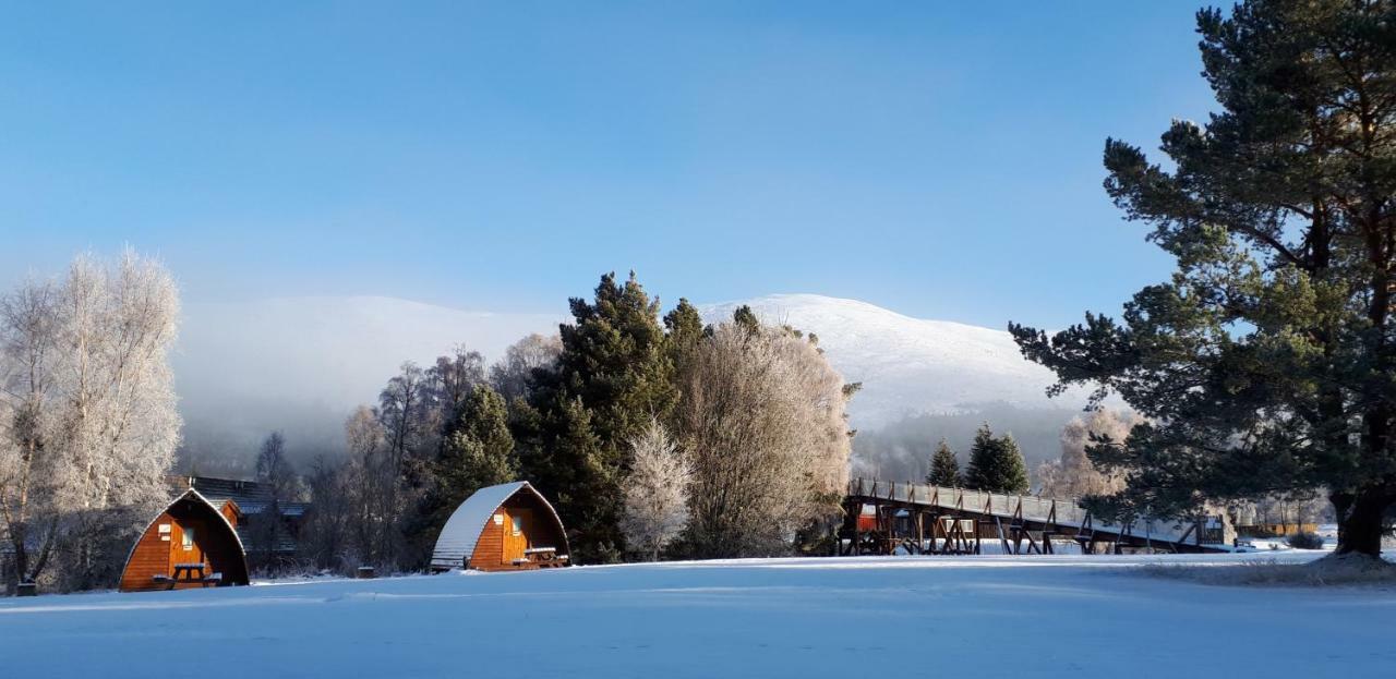 Badaguish Forest Lodges And Camping Pods Aviemore Esterno foto